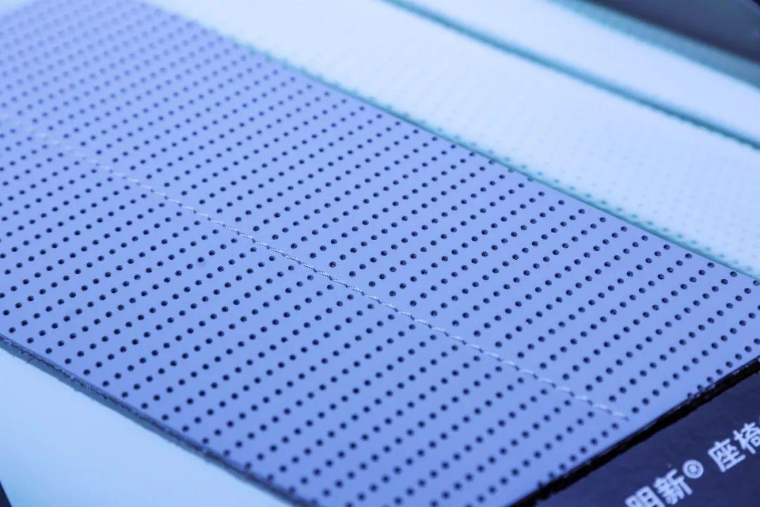 至尊金奖 | 明新旭腾.植鞣工艺+改良工艺，助力汽车内饰绿色升级