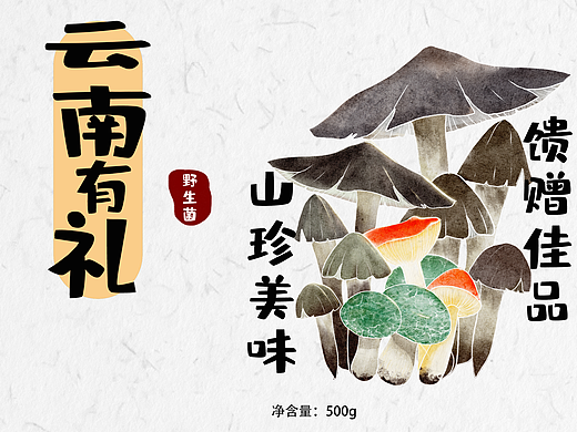 云南有礼系列——野生菌