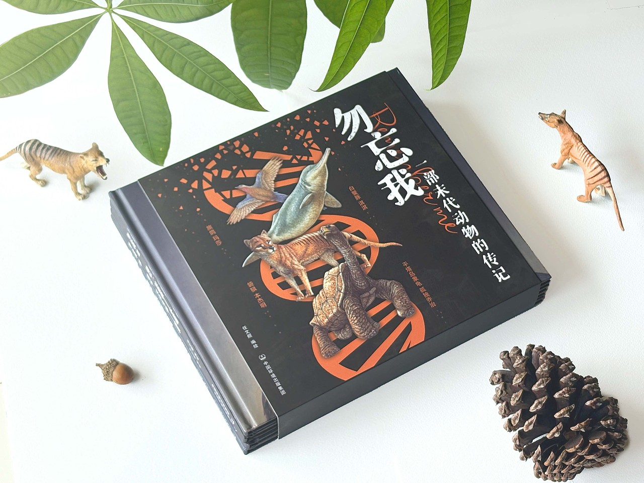 原创系列绘本《勿忘我：一部末代动物的传记》（图ZMzkzOTM3ODAw） - 绘本 - 站酷设计师守林动画原创素材 - 站酷ZCOOL