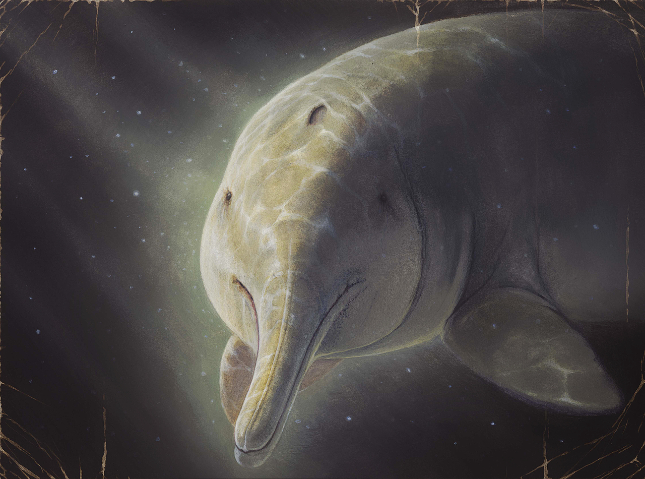 原创系列绘本《勿忘我：一部末代动物的传记》（图ZMzkzOTM3ODQ4） - 绘本 - 站酷设计师守林动画原创素材 - 站酷ZCOOL