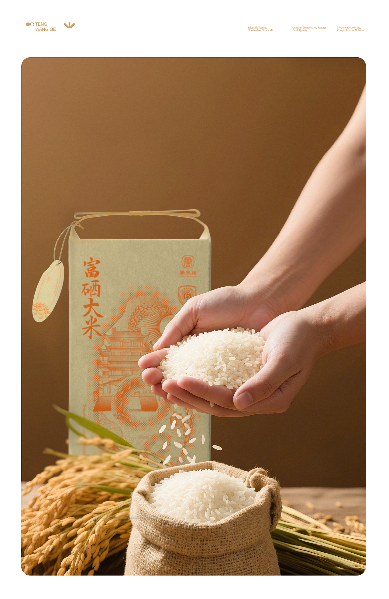 滕王阁品牌&大米包装设计（图ZMzkzOTcyMTA0） - 包装 - 站酷设计师GUUYU郭宇原创素材 - 站酷ZCOOL