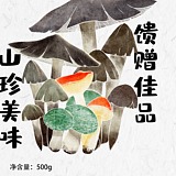 泷天天的头像