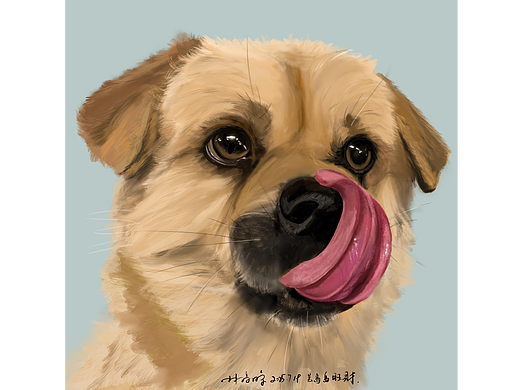 萌宠（个人主页-ZNzIyNzk5MDQ=） - 创作习作 - 站酷设计师木智兮兮原创素材 - 站酷ZCOOL