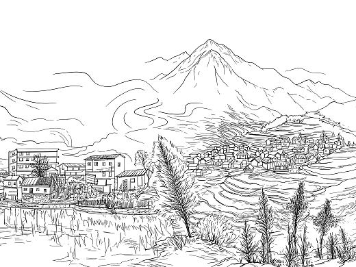 黑白线稿插画