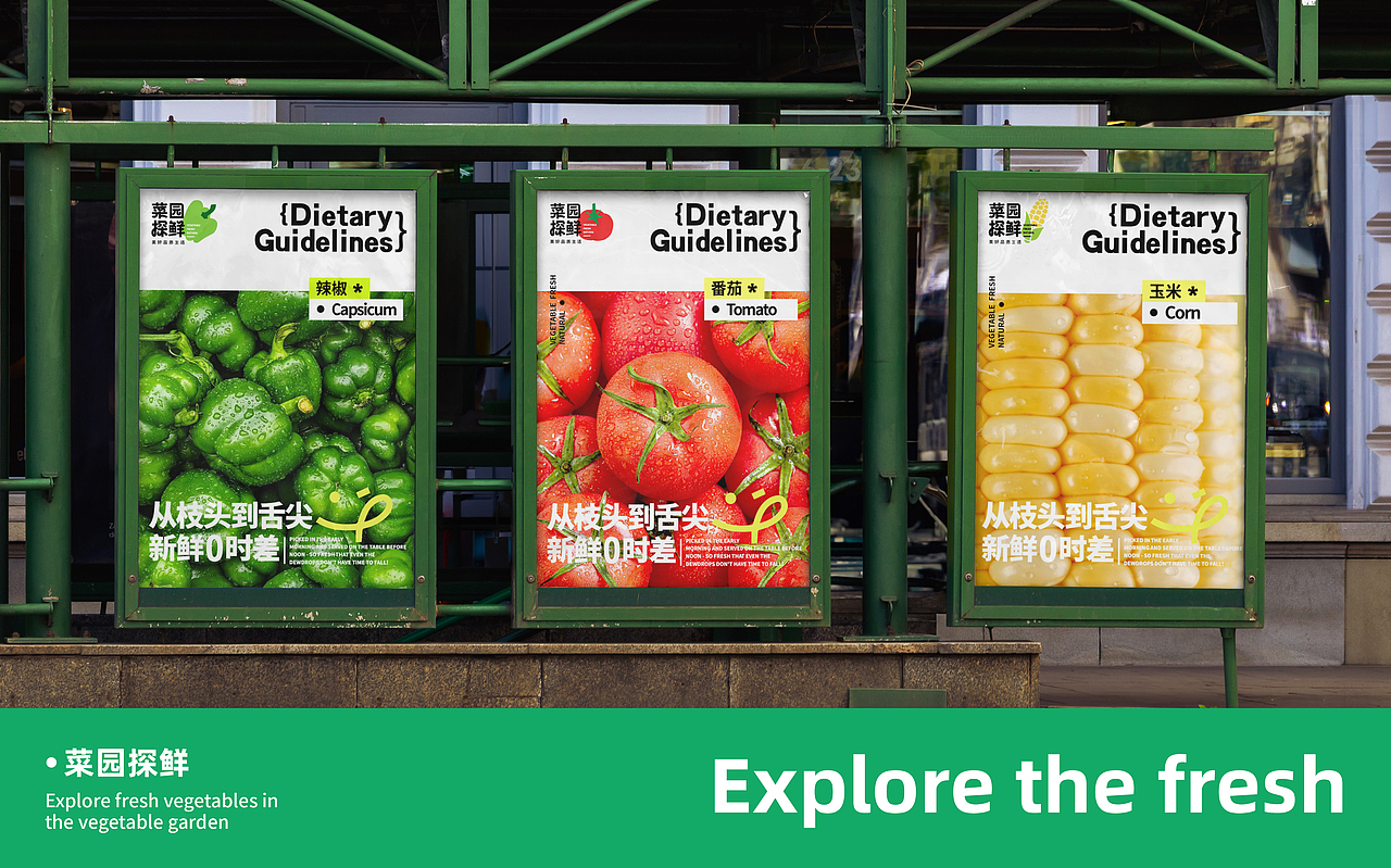 菜园探鲜-品牌设计