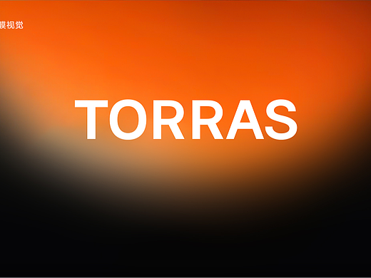 TORRAS-《24年手机膜视觉合集》