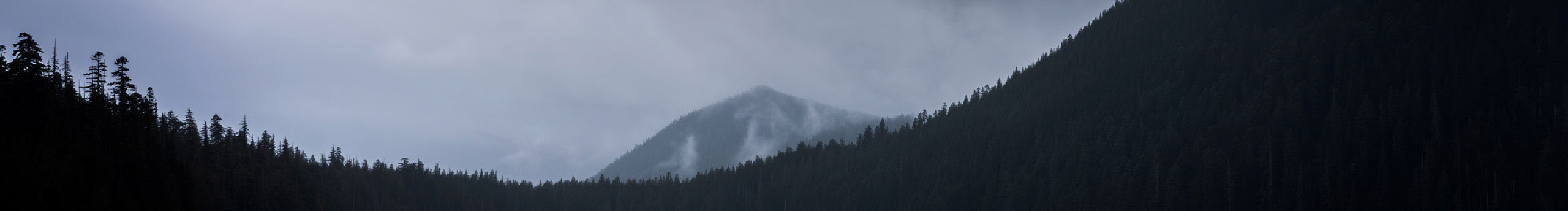 東篱南山的个人主页（封面预览） - 主页封面设置 - 站酷设计师東篱南山原创素材 - 站酷ZCOOL
