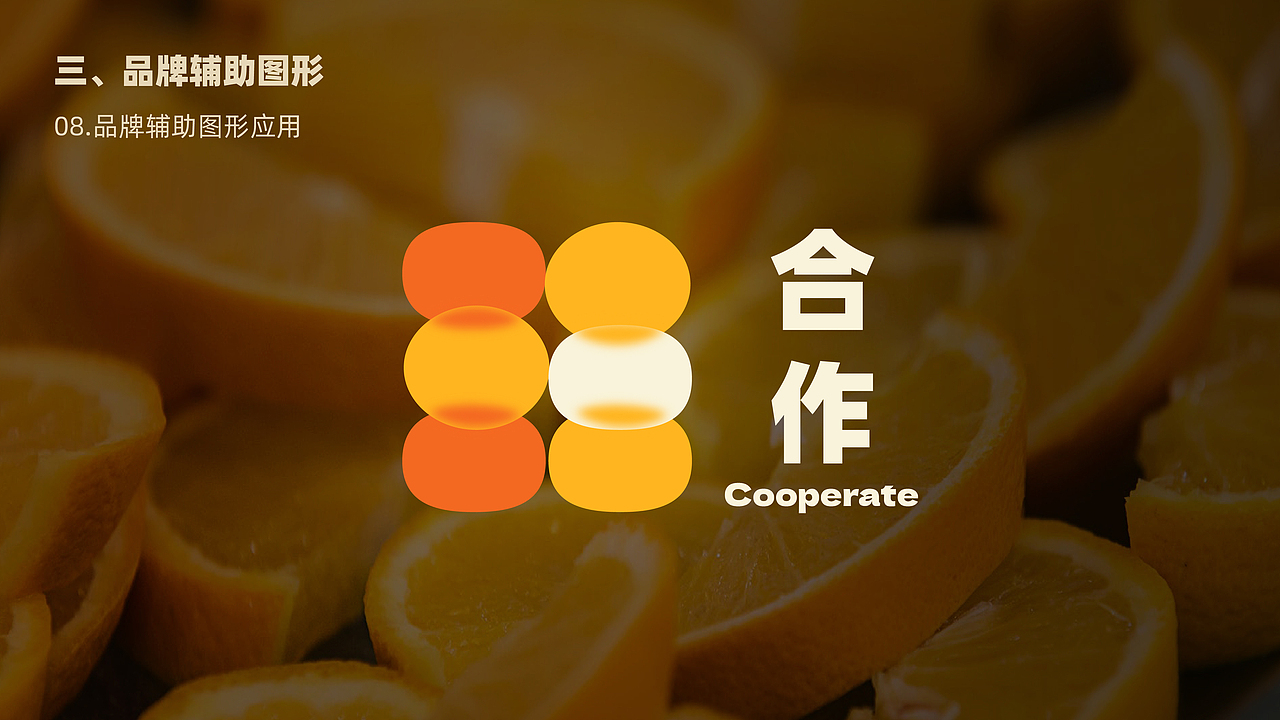 食品品牌全案设计-VI设计