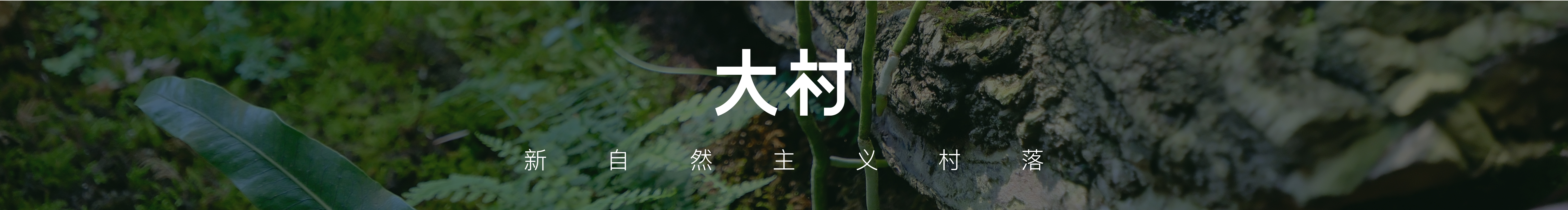 鹿先生的學(xué)生的個人主頁（封面預(yù)覽） - 主頁封面設(shè)置 - 站酷設(shè)計師鹿先生的學(xué)生原創(chuàng)素材 - 站酷ZCOOL