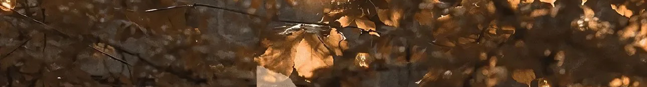 夜猫族设计的个人主页（封面预览） - 主页封面设置 - 站酷设计师夜猫族设计原创素材 - 站酷ZCOOL