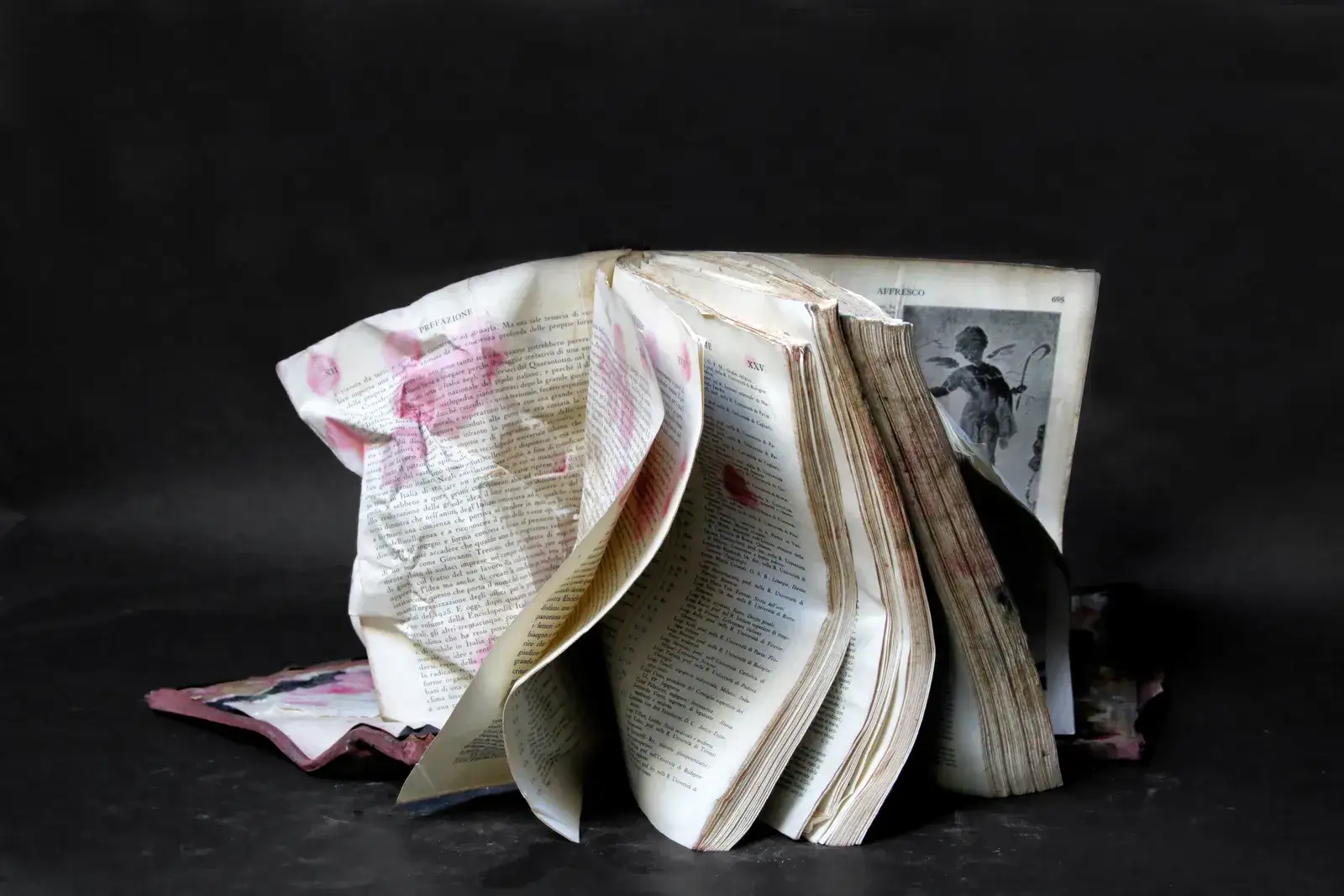 Patrizia Zelano, Acqua Alta a Venezia