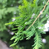 青朴视觉的头像