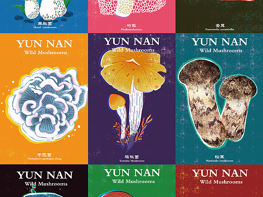 云南野生菌riso风插画系列