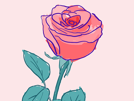 玫瑰插画