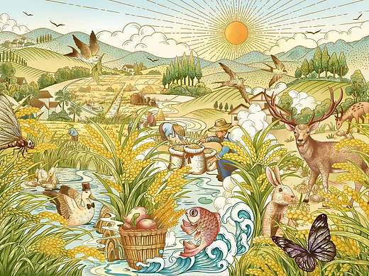 大米品牌包装插画设计