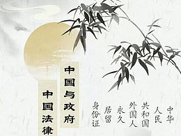 中国政府与法律设计