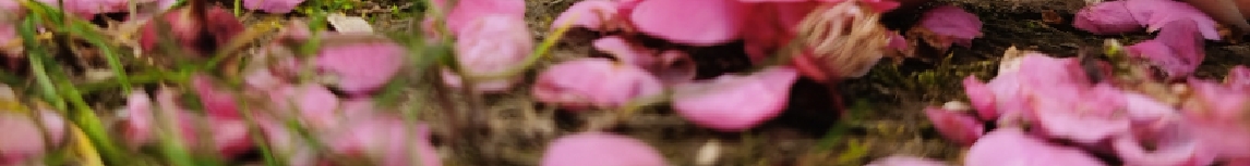 夜旅客的個(gè)人主頁（封面預(yù)覽） - 主頁封面設(shè)置 - 站酷設(shè)計(jì)師夜旅客原創(chuàng)素材 - 站酷ZCOOL