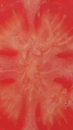 YSL✖产品视频拍摄（图ZMzk0MTQ5ODEy） - 产品摄影 - 站酷设计师典韬视频原创素材 - 站酷ZCOOL