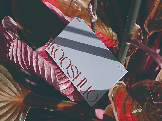 KOOSHUO | 护肤品品牌提案