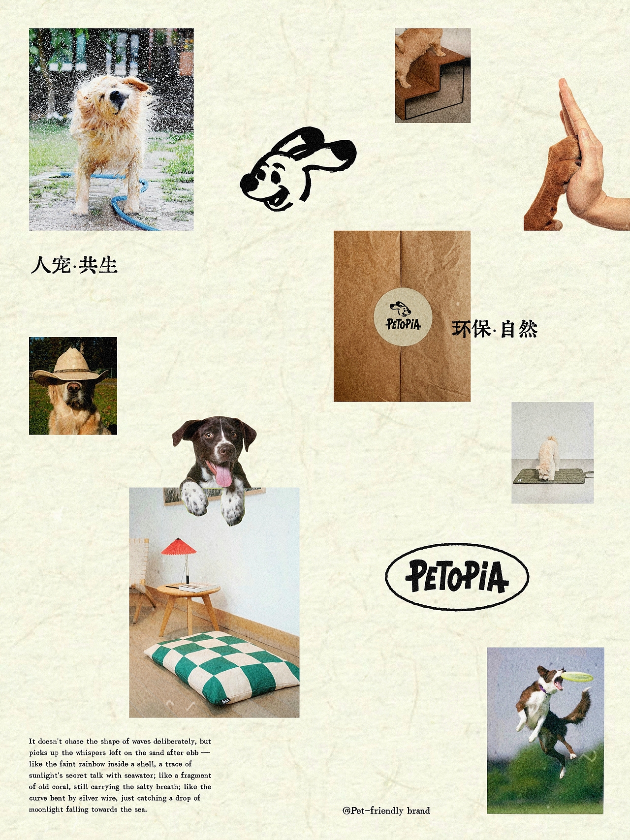 PETOPIA|宠物生活方式品牌视觉设计（图ZMzk0MTc0NzUy） - 品牌 - 站酷设计师高斯模糊Design原创素材 - 站酷ZCOOL