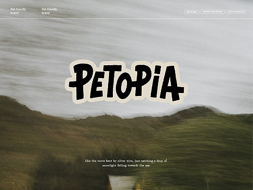 PETOPIA|宠物生活方式品牌视觉设计