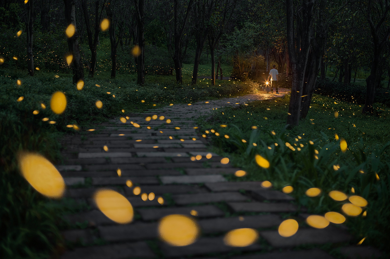 2025的夏季萤火虫