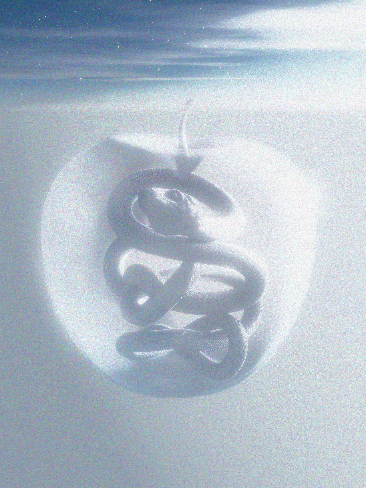 Blender | <突然的灵感>小合集