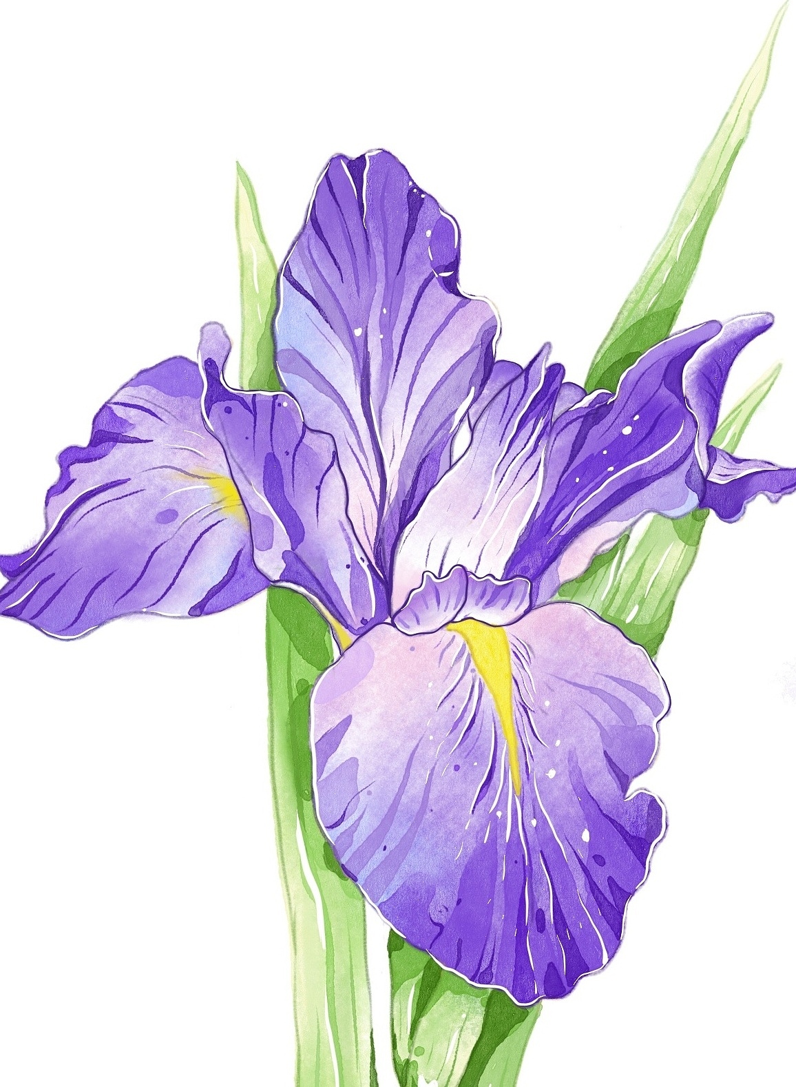 平板插画（图ZMzk0MTg3MjI4） - 创作习作 - 站酷设计师茉香拿铁原创素材 - 站酷ZCOOL