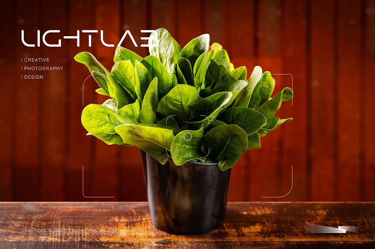 美食摄影|火锅拍摄-重庆火锅