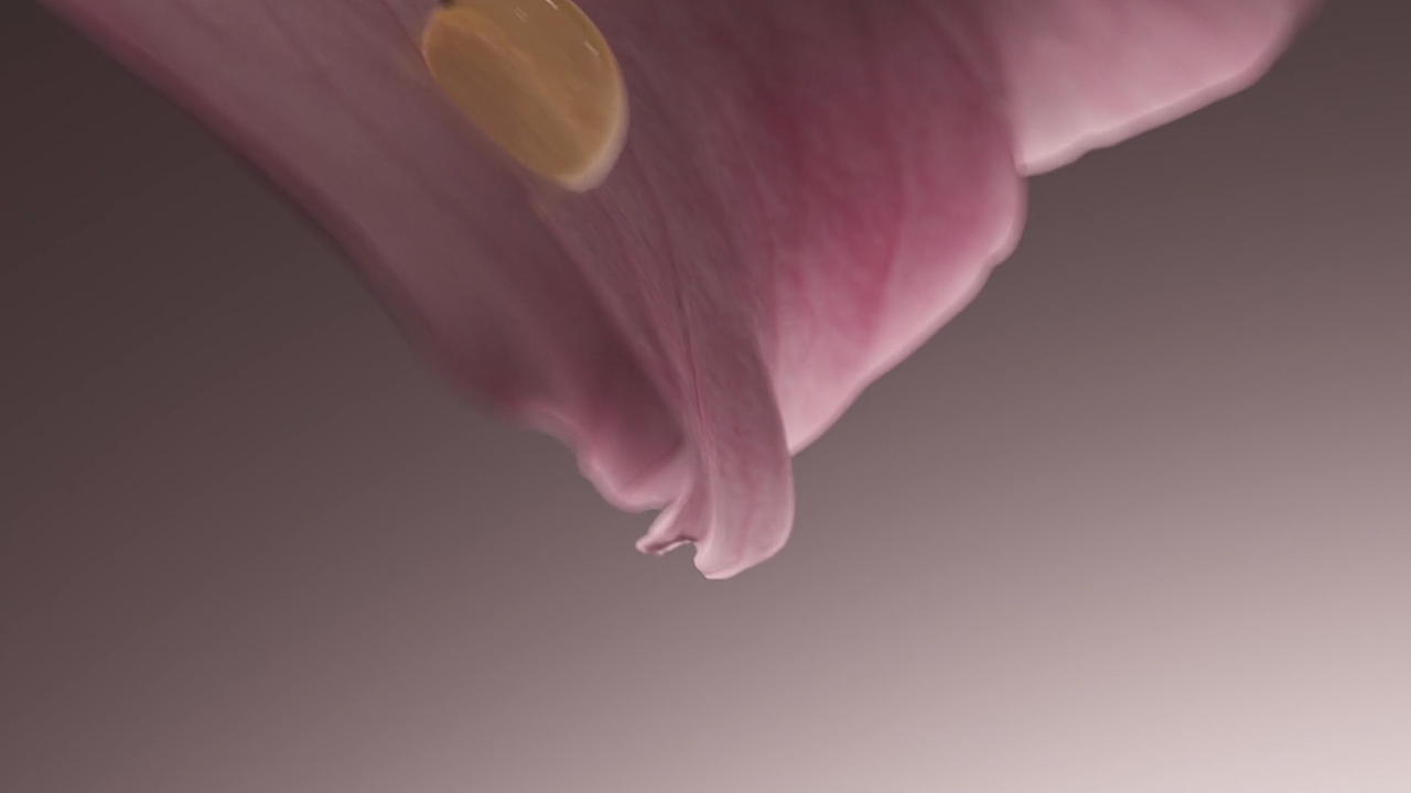 护发 三维动画制作 C4D产品动画 3D动画 电商渲染