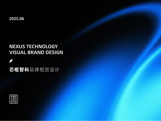 NEXUS芯枢智科丨科技品牌视觉设计