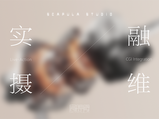 【实拍+三维 X 东芝】