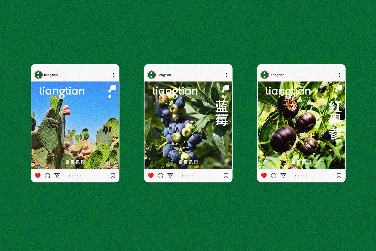 壹亩良田liangtian | 品牌设计（图ZMzk0MjA3Mzky） - 品牌 - 站酷设计师Mr设孔原创素材 - 站酷ZCOOL