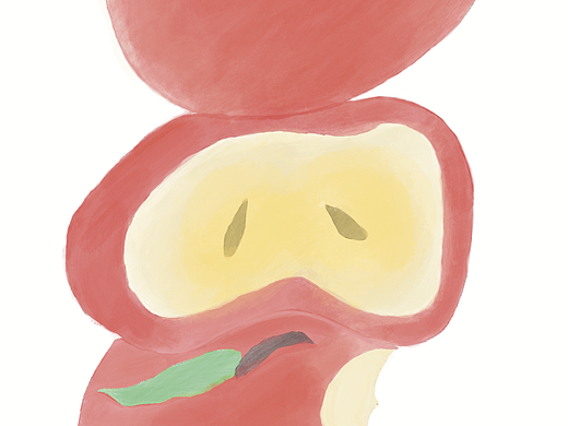 我的世界合🍎