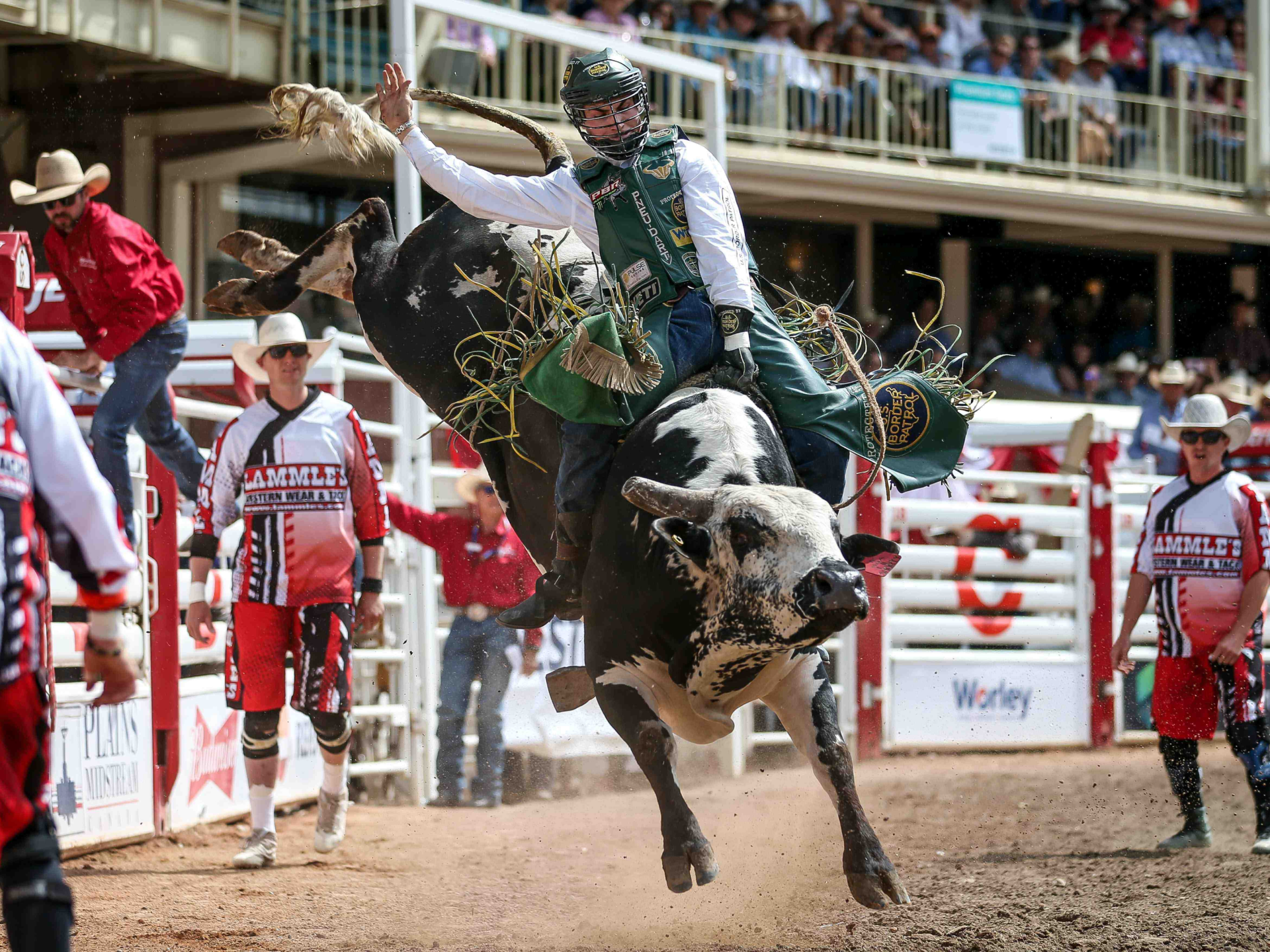 卡尔加里一年一度的牛仔节