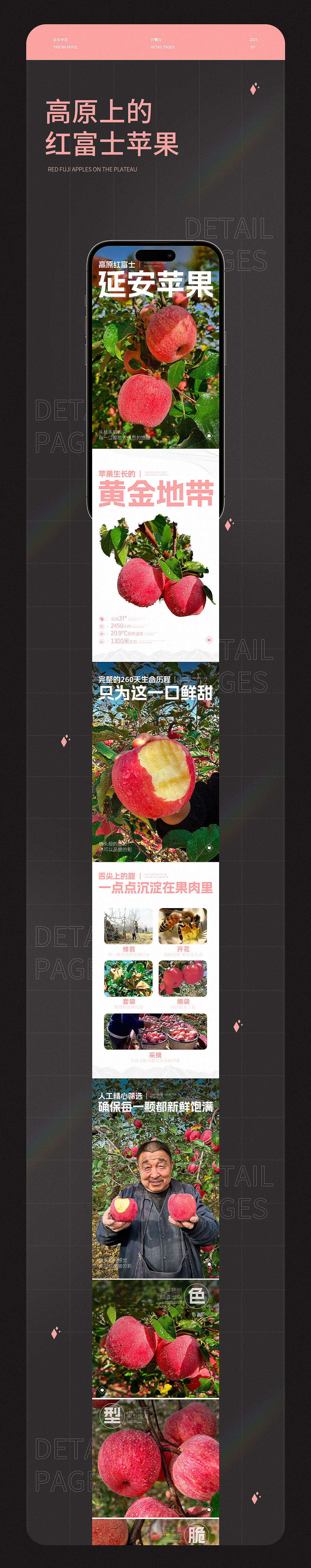 农产品电商详情x3 苹果详情页 粉条详情页 蜜瓜详情页