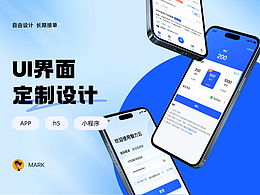 APP 界面