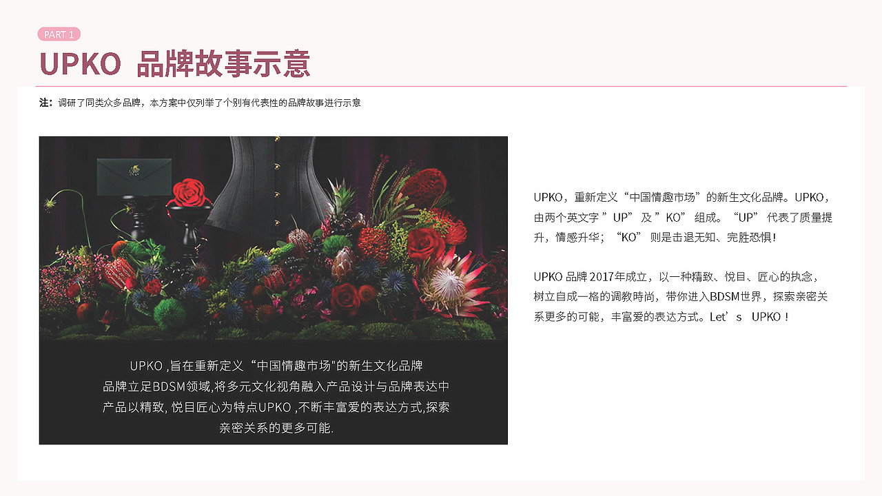 H-Candia | 成人玩具 | 品牌命名与故事项目案例