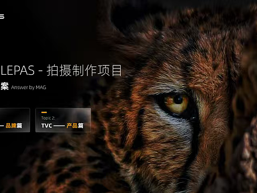 2025奇瑞汽车TVC创意视频脚本方案-48P