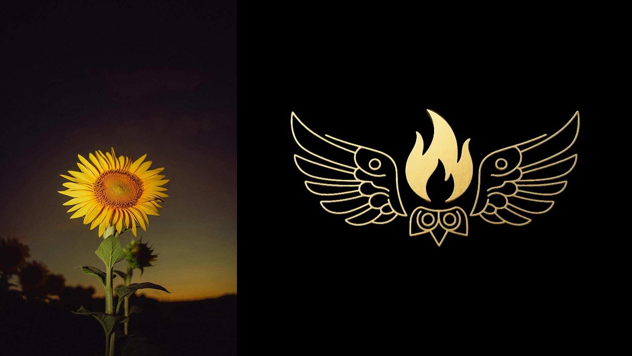 2025求职作品集,求工作室 pick。