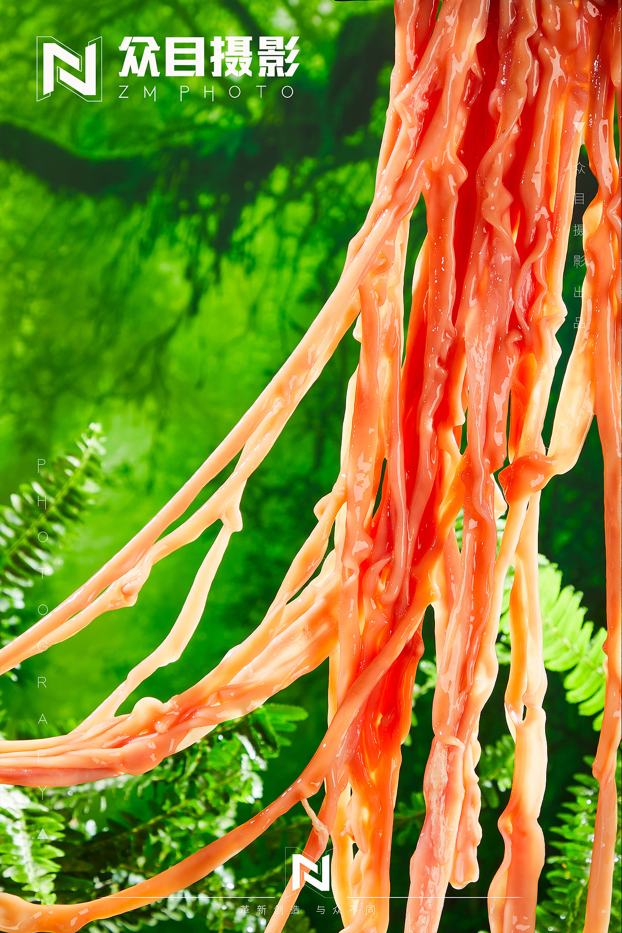 雷椒椒菜品 森系风| 美食摄影 x 众目视觉