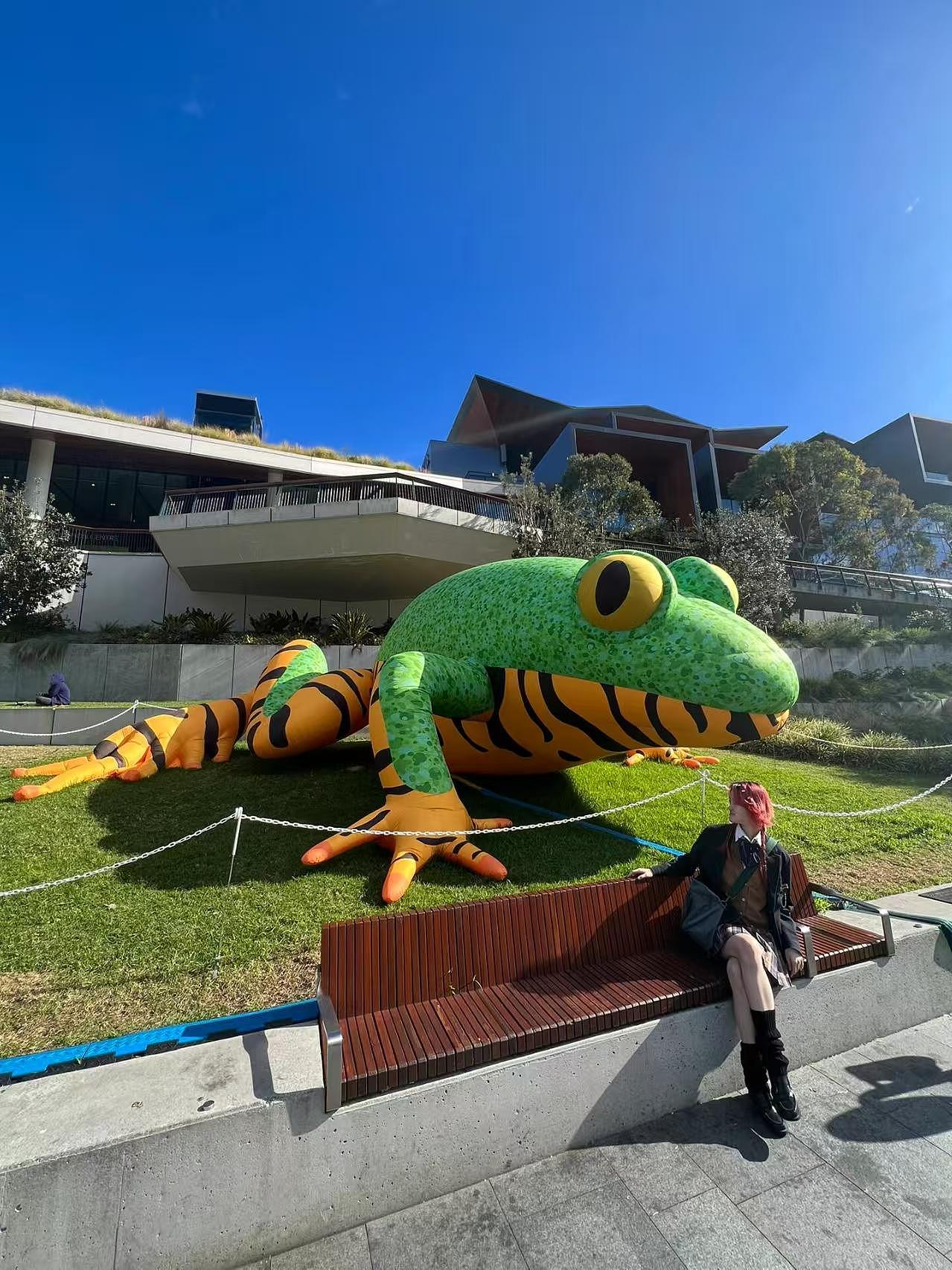 大明气模——城市中的青蛙