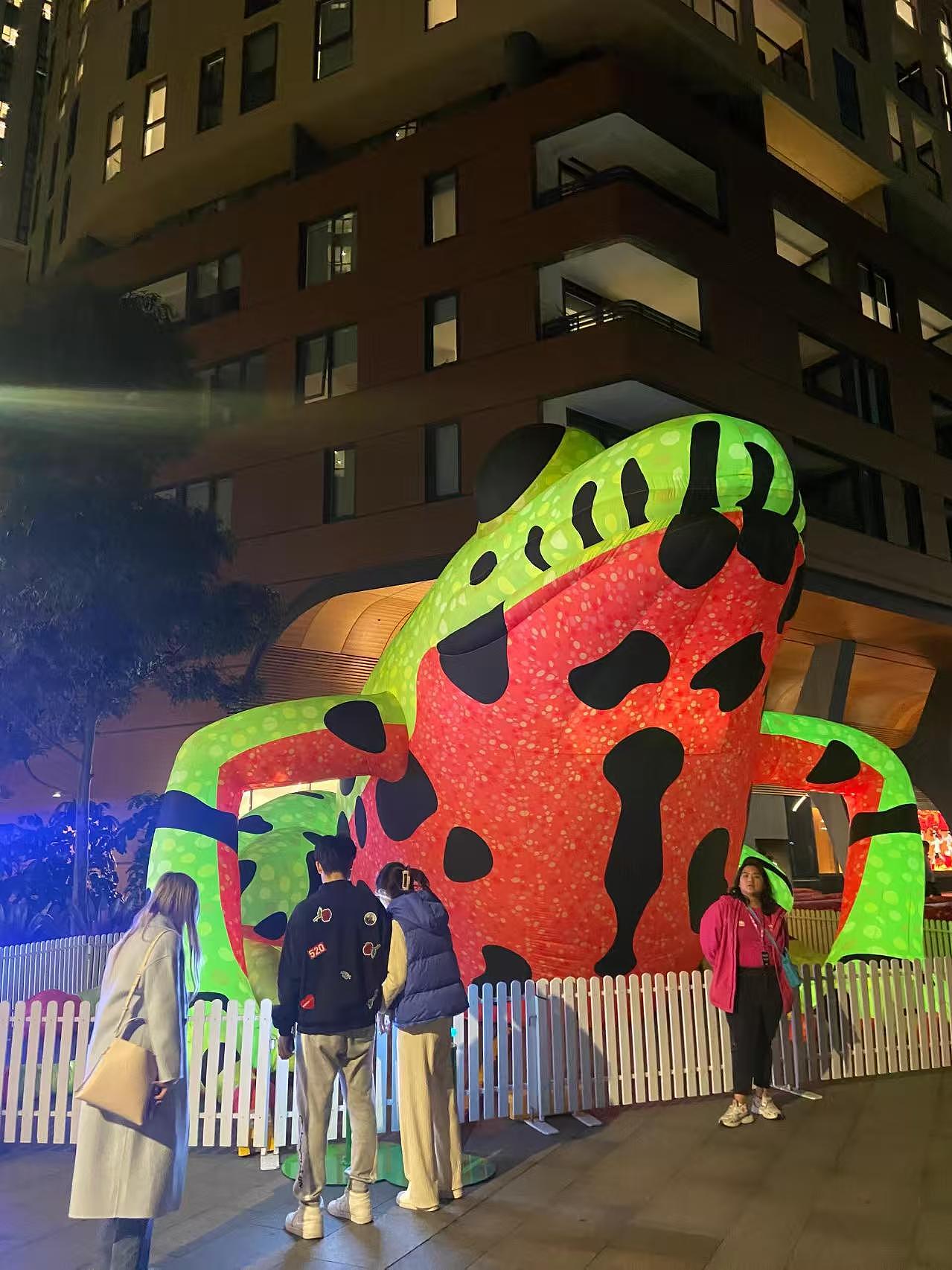 大明气模——城市中的青蛙