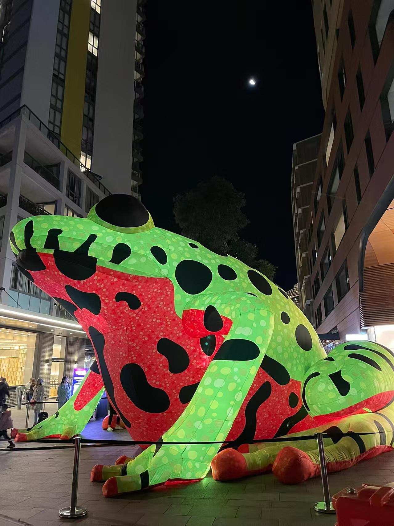 大明气模——城市中的青蛙