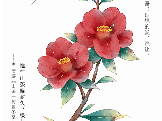 水彩山茶花