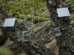 蔡司红外相机-ZEISS Infrared Camera