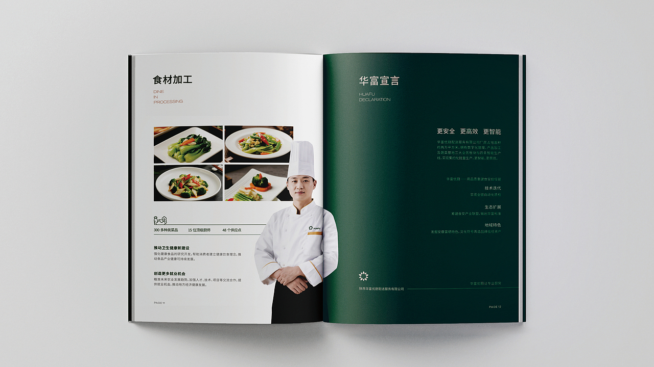 画册设计（图ZMzk0MzE1MDQ0） - 书籍/画册 - 站酷设计师西安远渡品牌设计原创素材 - 站酷ZCOOL