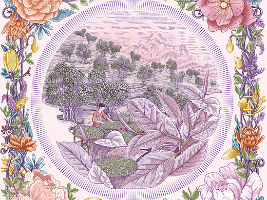 云雾之上茶人插画设计