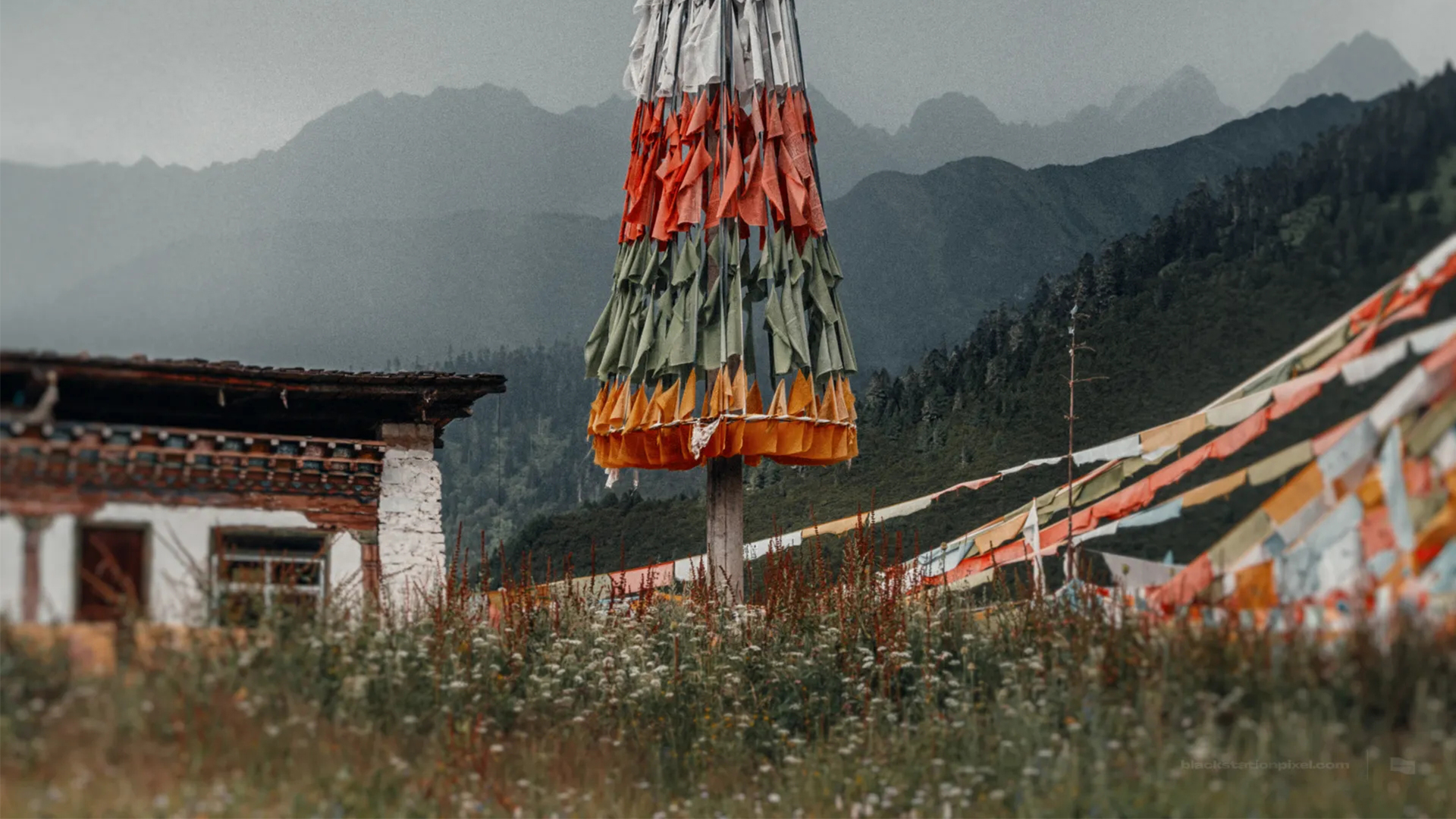 愛(ài)喝雪碧不加冰的個(gè)人主頁(yè)（封面預(yù)覽） - 主頁(yè)封面設(shè)置 - 站酷設(shè)計(jì)師愛(ài)喝雪碧不加冰原創(chuàng)素材 - 站酷ZCOOL