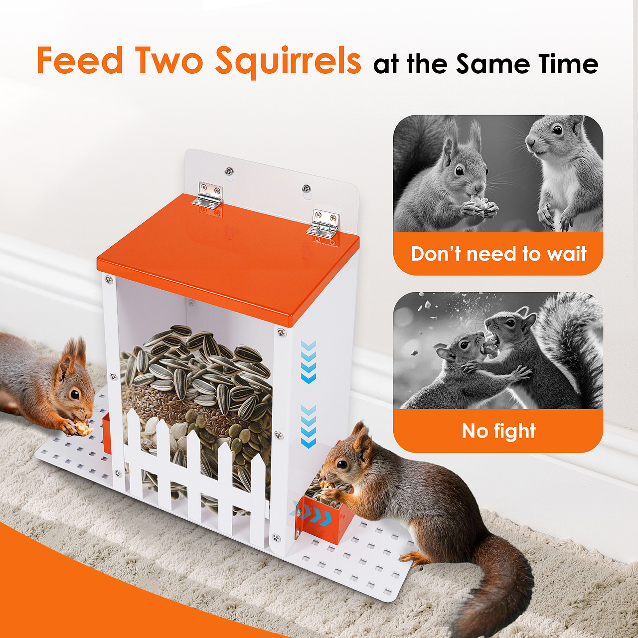 亚马逊主附图设计-松鼠喂食器